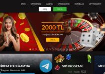 Casibom Belge İstiyor Mu